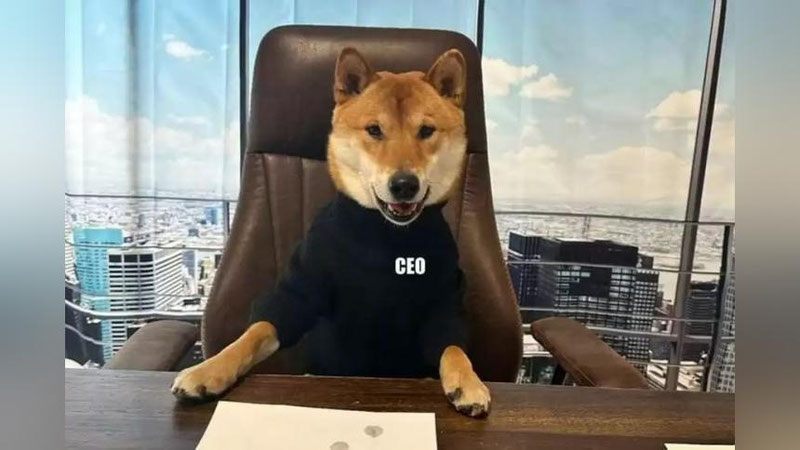 'Ilon Mask Twitter ijtimoiy tarmog`iga yangi bosh direktor "tayinladi"'ning rasmi