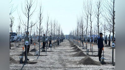 Изрображение 'Уже более 200 тысяч деревьев внесены в электронную площадку «Яшил Макон»'