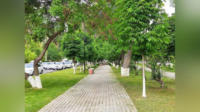 Изрображение 'Какая погода нас ждет на праздничные выходные?'