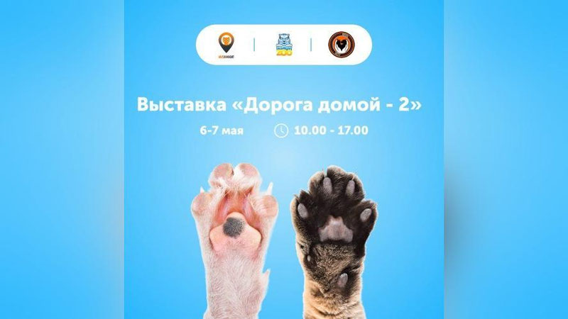 Изрображение 'В Ташкентском зоопарке пройдет благотворительная выставка'