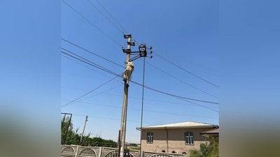 Изрображение 'Под Ташкентом предприниматель самовольно подключился к электросетям и нанес ущерб в 493 млн'