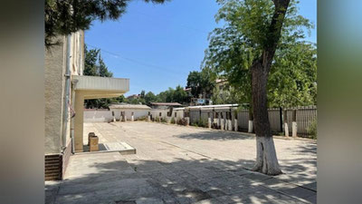 Изрображение 'Кадры варварской обрезки деревьев из 171-й школы шокировали пользователей'