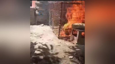 Изрображение 'Кувасайским живодерам дали арест на срок от 3 до 7 суток'