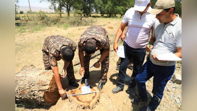 Изрображение 'В Самаркандской области обнаружили место вырубки деревьев: ущерб составил 744 млн'