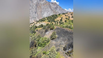 Изрображение 'Второй пожар за три дня произошел в Чаткальском заповеднике'