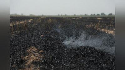 Изрображение 'В Кумкургане фермеры, сжигающие поля после сбора урожая, нанесли ущерб почве в 106 млн сумов'