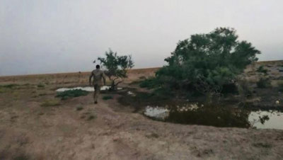 Изрображение 'Установлены личности участников инцидента с нападением на экоинспектора в Бухаре'