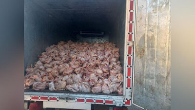 Изрображение 'На посту ДПС в Булунгуре остановили грузовик с 5 тоннами сомнительной курятины'