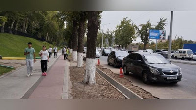 Изрображение 'В Ташкенте в порядке эксперимента внедрят паспорта деревьев'
