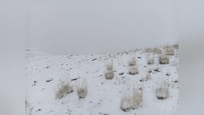 Изрображение 'Минэкологии поделилось кадрами заснеженных гор в Кашкадарье'