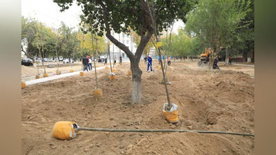 Изрображение 'В Учтепинском районе Ташкента создан "Сад прокурора" (фото)'