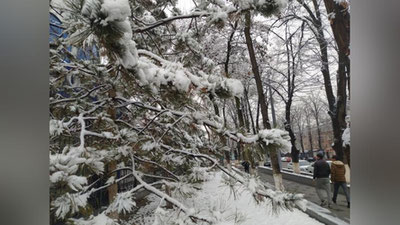 Изрображение 'В Узгидромете рассказали о рекордах февралей в Узбекистане'