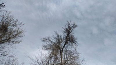 Изрображение 'Со среды начнется похолодание и дожди: прогноз от Узгидромета'