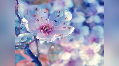 Изрображение 'Какая погода ожидается в Узбекистане 23 марта?'