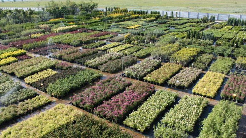 Изрображение 'В УЗБЕКИСТАНЕ ПОЯВЯТСЯ 7 СВОБОДНЫХ ЭКОНОМИЧЕСКИХ ФАРМ-ЗОН'