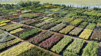 Изрображение 'В УЗБЕКИСТАНЕ ПОЯВЯТСЯ 7 СВОБОДНЫХ ЭКОНОМИЧЕСКИХ ФАРМ-ЗОН'