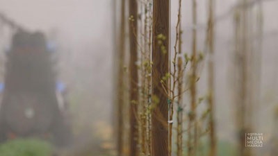 Изрображение 'В Минсельхозе рассказали, как повлияли весенние заморозки на сельхозкультуры'