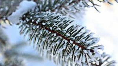 'Ertaga O`zbekistonda ob-havo qanday bo`ladi?'ning rasmi