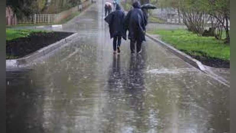 'Bugun O`zbekistonning qator hududlarida yomg`ir yog`ib, momaqaldiroq bo`lishi kutilmoqda'ning rasmi