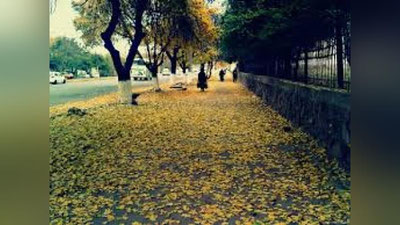 'Bugun O`zbekistonda kuzatiladigan ob-havo ma`lumoti e`lon qilindi'ning rasmi