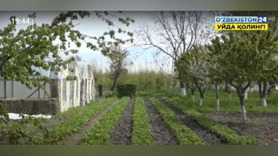 Изрображение 'Владельцев приусадебных участков будут финансировать'