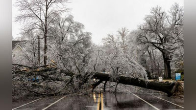 'АҚШда бўрон натижасида қарийб 300 минг киши электрсиз қолди'ning rasmi