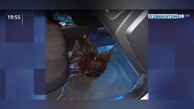 Изрображение 'В Ургуте раскрыли деятельность группировки, занимавшейся наркоторговлей (видео)'