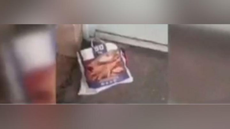 Изрображение 'К воротам дома "Мехрибонлик" в Термезе подбросили младенца (видео)'