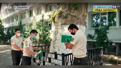 Изрображение 'В Ташкенте 100-летним деревьям присваивают статус "памятников природы" (видео)'