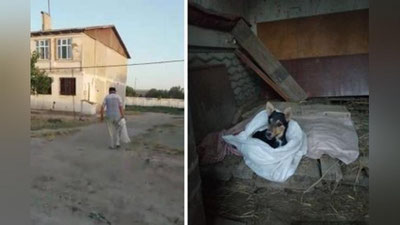 Изрображение 'Под Джизаком женщина спасла щенка, которого хотел выкинуть в канал его хозяин'