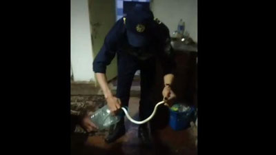 Изрображение 'На массиве ТТЗ в Ташкенте спасатели благополучно изъяли змею из жилого помещения (видео)'