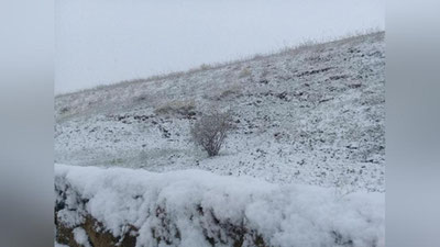 'Bugun kechga tomon ba`zi viloyatlarda qor yog`adi'ning rasmi