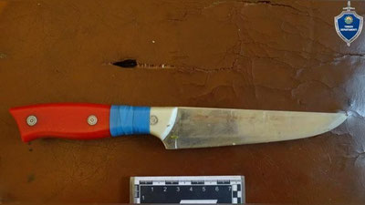 'Toshkentda erkak karate uslubini ko`rsatayotgan ayolni pichoqlab o`ldirdi'ning rasmi