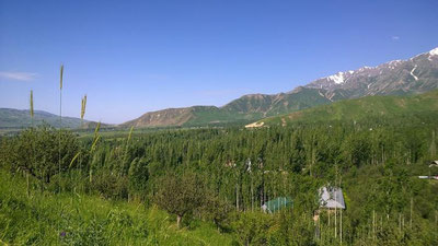 'O`zbekiston hududiga Erondan juda iliq havo massalari kirib kela boshlaydi'ning rasmi