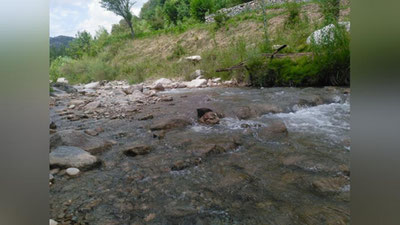 Изрображение 'На неделе будет вполне комфортная температура воздуха'