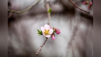 'Bugun 8 ta viloyatda yomg`ir yog`ishi kutilmoqda'ning rasmi