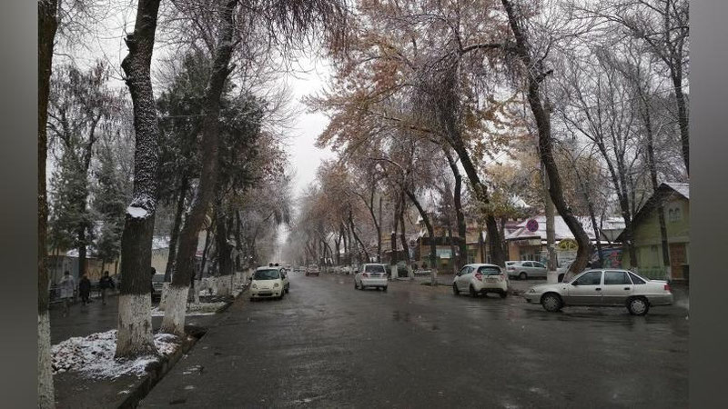 'Ўзбекистоннинг баъзи жойларида 12 декабрдан ёмғир ёғиб қорга айланади'ning rasmi