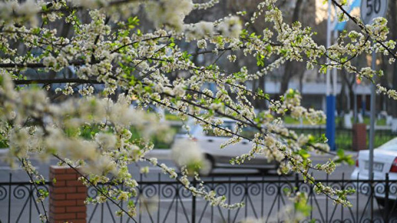 'Бугун кундуз куни Ўзбекистонга нам ва салқин об-ҳаво сақланиб туради'ning rasmi