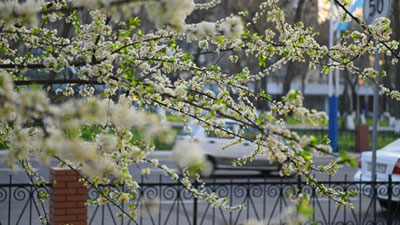 'Бугун кундуз куни Ўзбекистонга нам ва салқин об-ҳаво сақланиб туради'ning rasmi