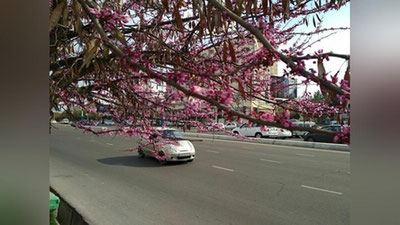 'Bugun ikki hududda biroz yomg`ir yog`ishi mumkin'ning rasmi