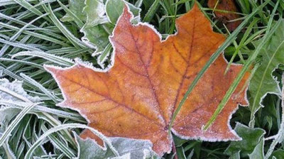 'O`zgidromet havo sovishi haqida shoshilinch axborot e`lon qildi'ning rasmi