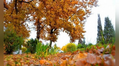 'Bugun O`zbekistonda harorat 22 darajagacha ko`tariladi'ning rasmi