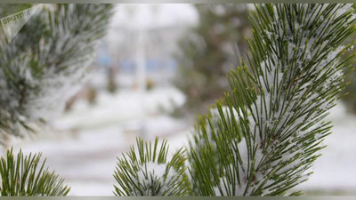 'O`zbekistonda 5 fevral kuni qanday ob-havo kuzatiladi?'ning rasmi