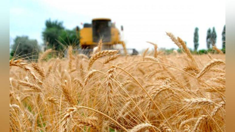 'Surxondaryoda g`alladan bo`shagan erlar aholiga 10 yil muddatgacha ijaraga beriladi'ning rasmi