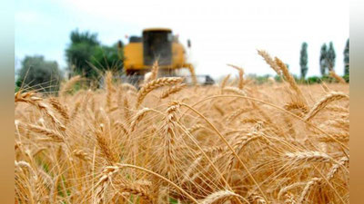 'Surxondaryoda g`alladan bo`shagan erlar aholiga 10 yil muddatgacha ijaraga beriladi'ning rasmi