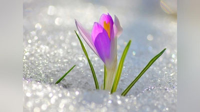 '17 fevral kuni O`zbekistonda qanday ob-havo kuzatiladi?'ning rasmi