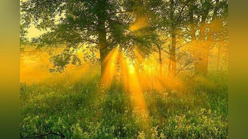 'Ertaga ba`zi hududlarda havo harorati 43 darajadan pastga tushadi'ning rasmi