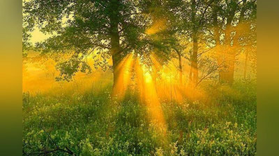 'Ertaga ba`zi hududlarda havo harorati  43 darajadan pastga tushadi'ning rasmi