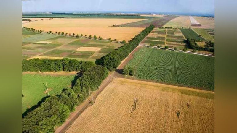 'Erlar degradasiyasiga qarshi kurashish tadbirlarini monitoring qilish tartibi belgilandi'ning rasmi