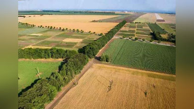 'Erlar degradasiyasiga qarshi kurashish tadbirlarini monitoring qilish tartibi belgilandi'ning rasmi